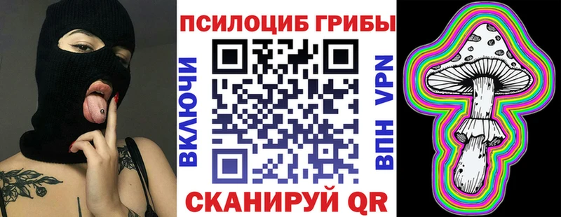 Псилоцибиновые грибы Cubensis  закладка  Дудинка 